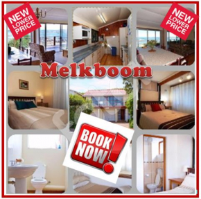 Melkboom